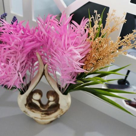 Cozy Flowers Studio - Fast Wi-Fi & Washer-Dryer Braşov Buitenkant foto