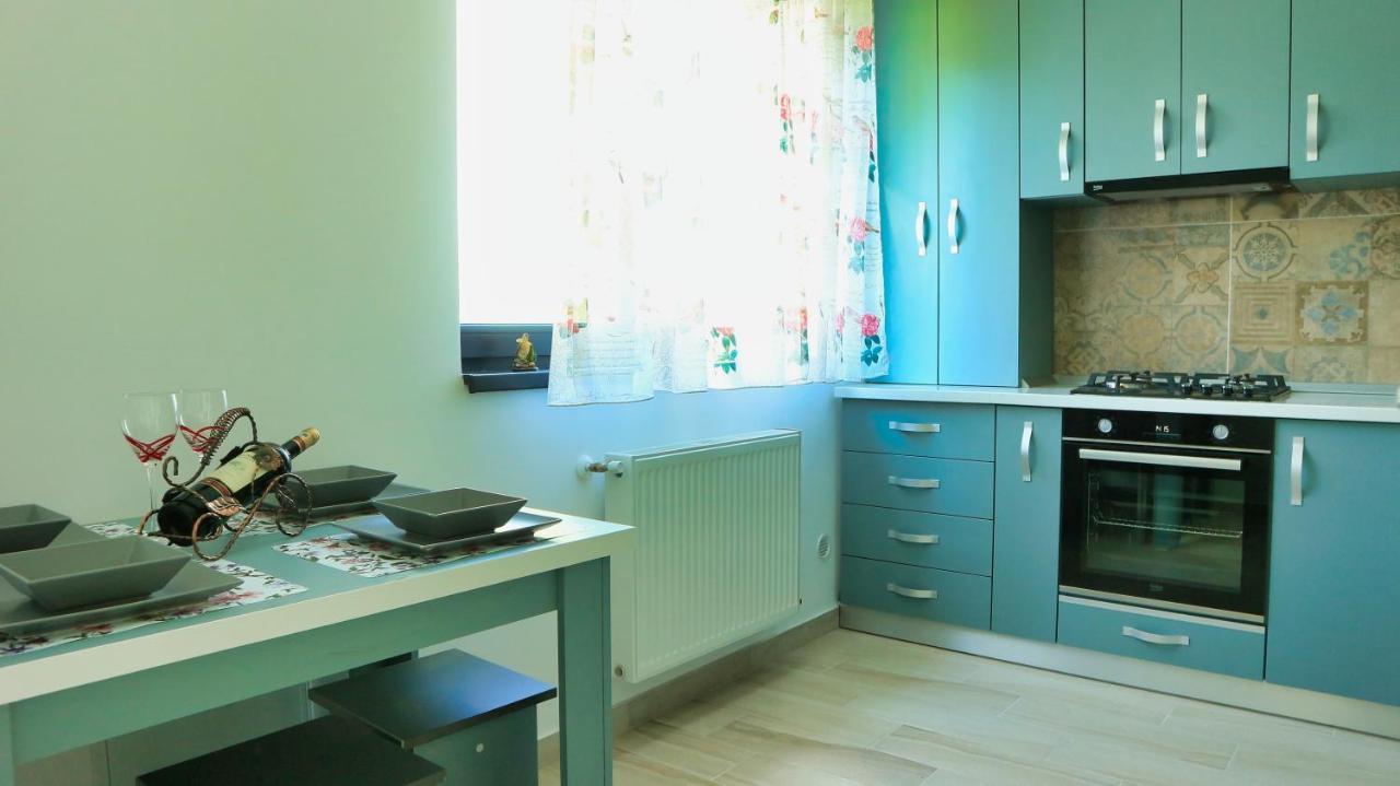 Cozy Flowers Studio - Fast Wi-Fi & Washer-Dryer Braşov Buitenkant foto
